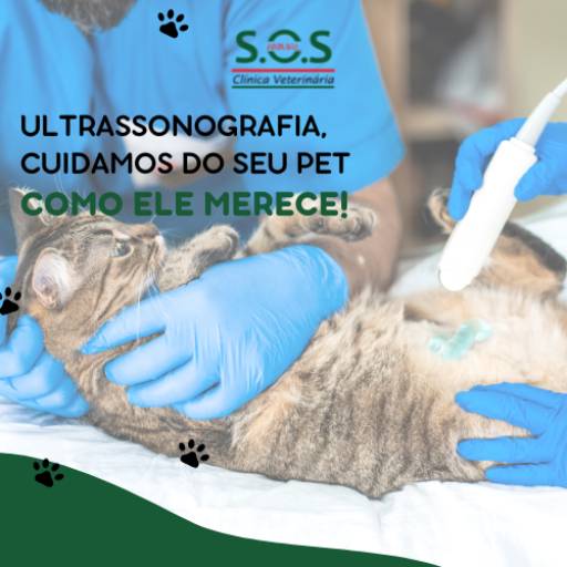 ULTRASSONOGRAFIA para seu Pet por S.O.S Animal Clínica Veterinária
