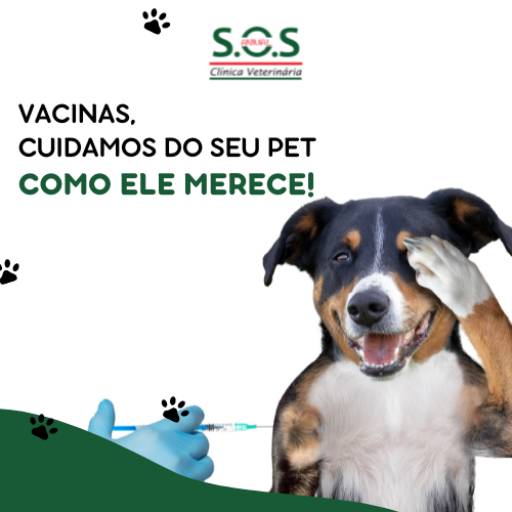 Comprar o produto de Vacina para o seu PET  em Clínicas Veterinárias pela empresa S.O.S Animal Clínica Veterinária em Itapetininga, SP por Solutudo