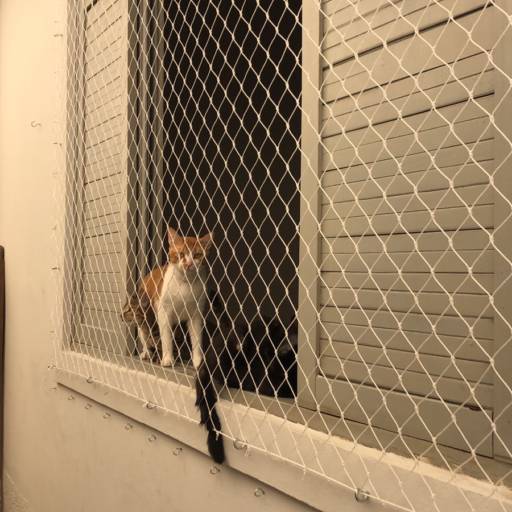 Tela de Proteção Para Animais por América Proteção 