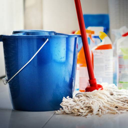 MOP Eficiente para Limpeza Rápida e Prática em Feira de Santana