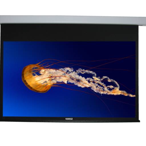 Tela de Projeção Motorizada