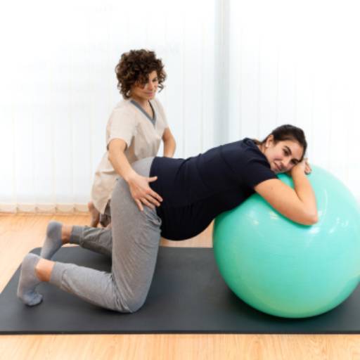 Fisioterapia Pélvica