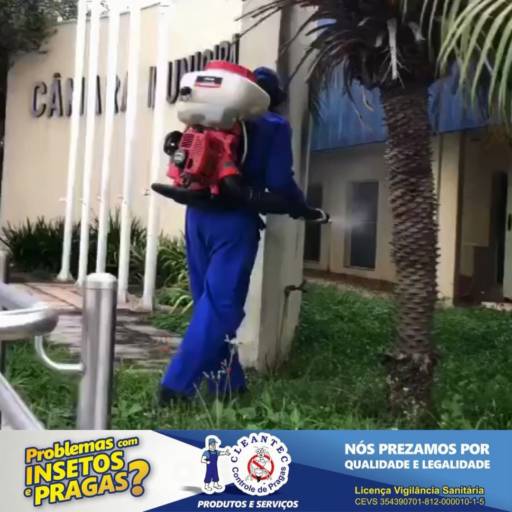 Serviço de Desratização - Controle Eficiente de Roedores em Limeira/SP