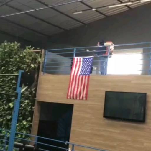 Desinsetização Completa para Ambientes Seguros em Limeira - SP