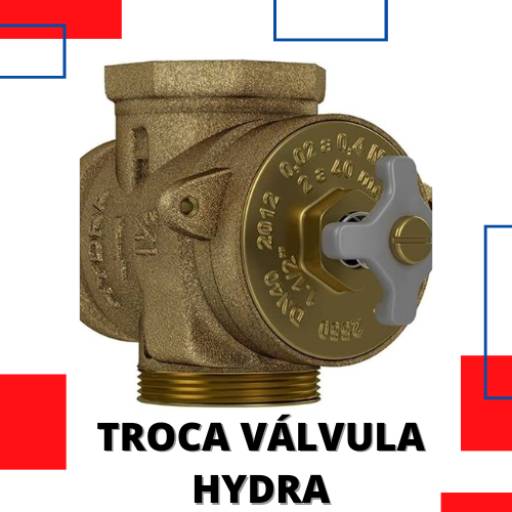 Comprar o produto de Troca de Válvula Hydra em Válvulas pela empresa Vapt Vupt - Desentupidora e Serviços em Itapetininga, SP por Solutudo