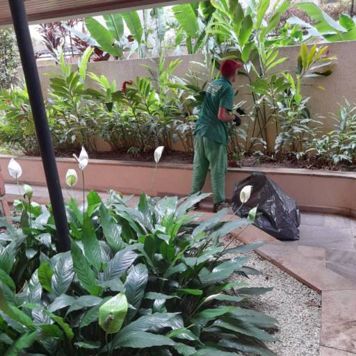 Irrigação Automática: Praticidade e Eficiência para seu Jardim em Florianópolis por Arte no Vaso Paisagismo e Jardinagem