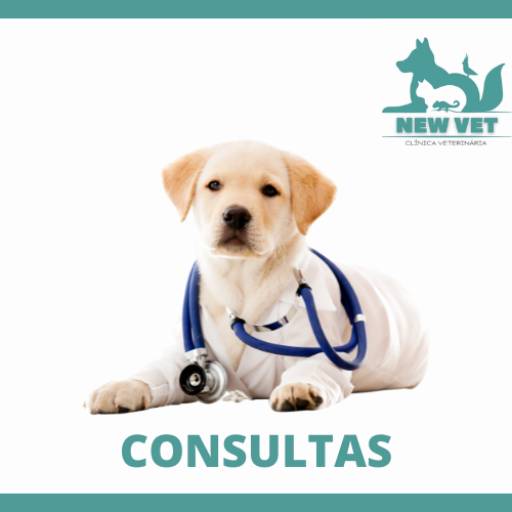 Consultas por New Vet - Clínica Veterinária