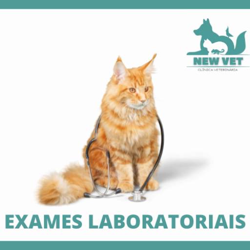 Exames Laboratoriais  por New Vet - Clínica Veterinária