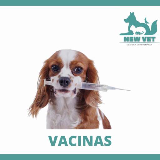 Vacinas por New Vet - Clínica Veterinária
