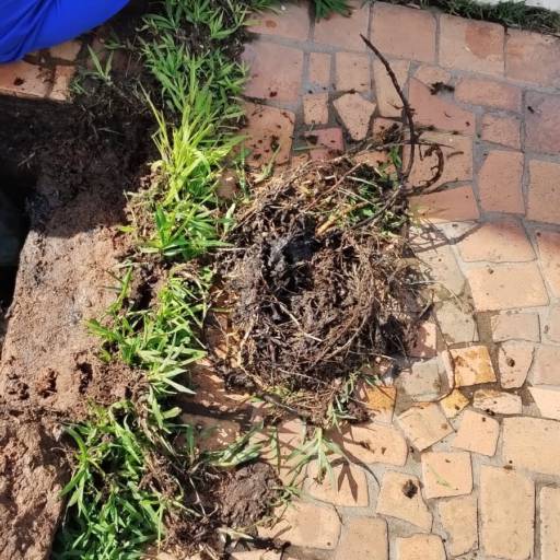 Hidrojateamento por Desentupidora VR