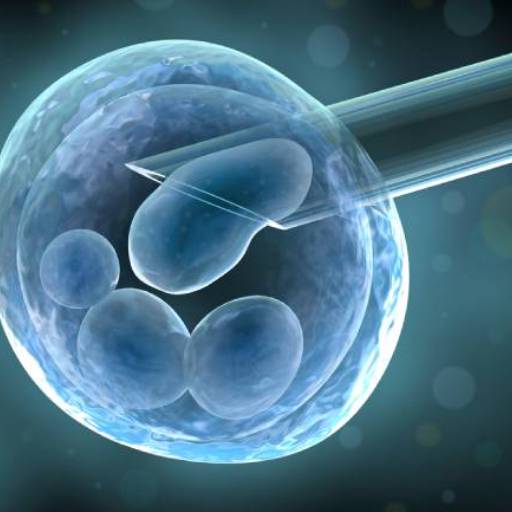 FIV/TETF por Reprogen Assessoria Reprodutiva 