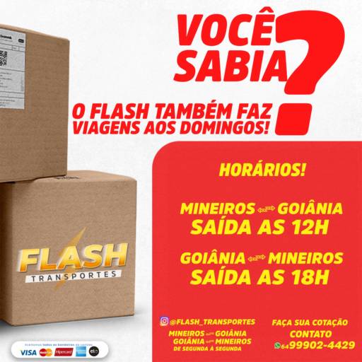 Comprar o produto de Viagens aos domingos em Viagens pela empresa Flash Transportes em Mineiros, GO por Solutudo