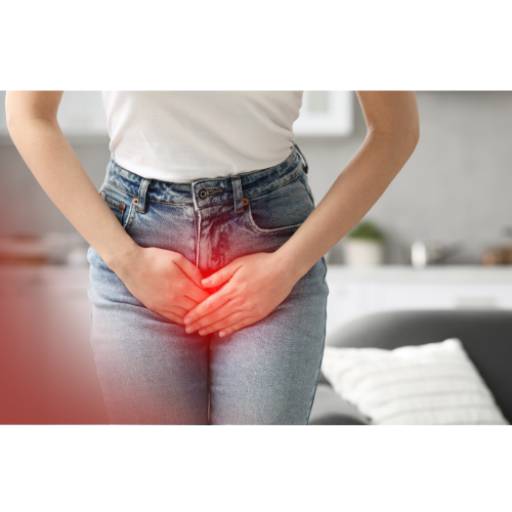 Infecção Urinária