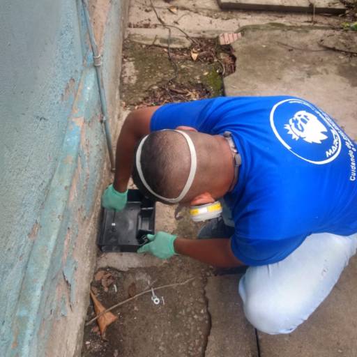 Tratamento contra rato em Itaipú por Marc's Controle de Pragas - Dedetização
