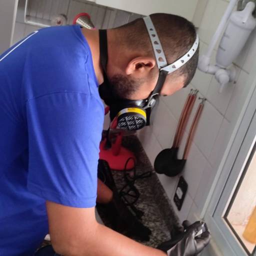 Tratamento contra formiga em Barra da Tijuca por Marc's Controle de Pragas - Dedetização