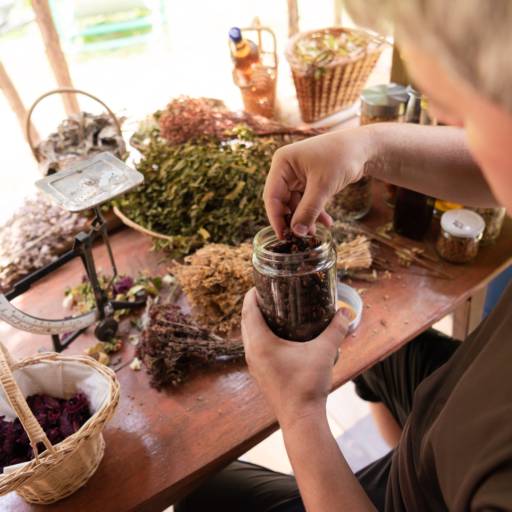 Fitoterapeuta em Bauru por Marta Terapeuta Integrativa em Bauru