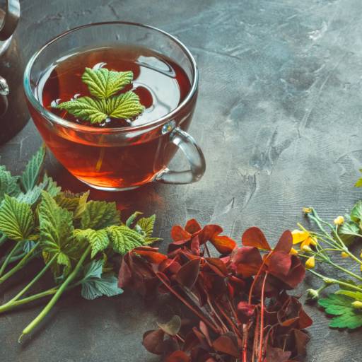 Terapeuta que faz avaliação diagnóstica para tratamento de doenças com plantas naturais em Bauru