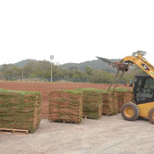 Venda de Grama: Beleza e Sustentabilidade para seu Jardim em Florianópolis por Arte no Vaso Paisagismo e Jardinagem