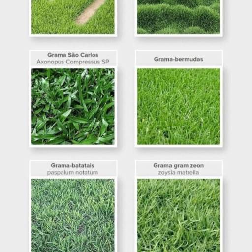 Venda de Grama: Beleza e Sustentabilidade para seu Jardim em Florianópolis por Arte no Vaso Paisagismo e Jardinagem