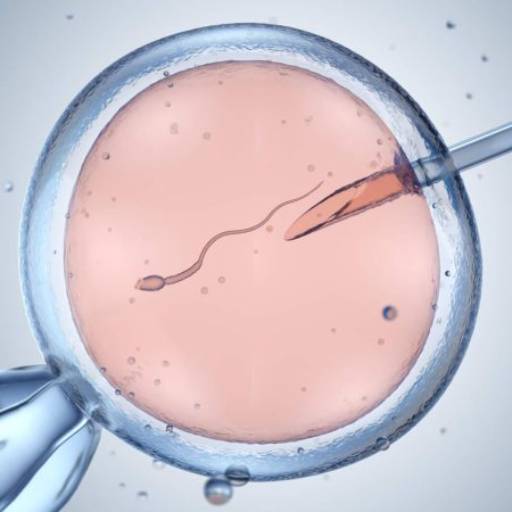 Fertilização em vitro por Clínica Femina