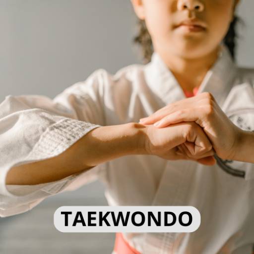 Comprar o produto de Taekwondo em Academias de Lutas e Artes Marciais pela empresa Asiam Budo em Itapetininga, SP por Solutudo