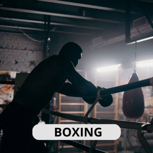 Comprar o produto de Boxing em Academias de Lutas e Artes Marciais pela empresa Asiam Budo em Itapetininga, SP por Solutudo