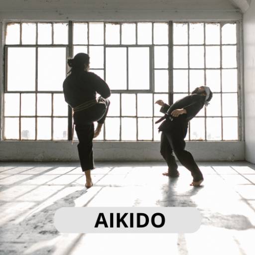 Comprar o produto de Aikido em Academias de Lutas e Artes Marciais pela empresa Asiam Budo em Itapetininga, SP por Solutudo