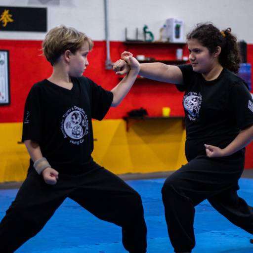 Kung fu para crianças em Bauru por Associação Tigres e Dragões