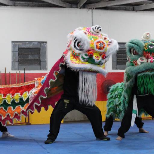Dança do leão chinês em Bauru por Associação Tigres e Dragões