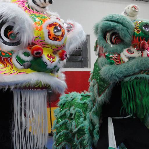 Dança do leão chinês em Bauru por Associação Tigres e Dragões