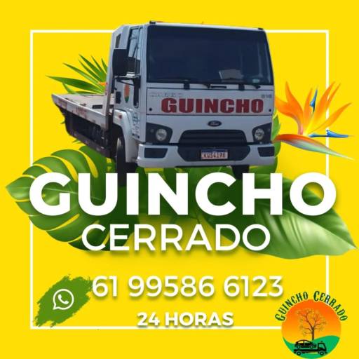 c Remoção de Veículos Avariados – Rapidez e Segurança - Formosa/GO por Guincho Cerrado 2