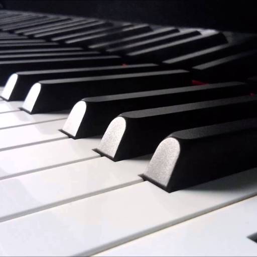 Comprar o produto de Remoção de pianos  em mudanças pela empresa Taty Mudanças em Botucatu, SP por Solutudo