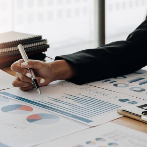 Declaração de Imposto de Renda para Médicos - Eficiência Fiscal com Tranquilidade - Especialização Médica