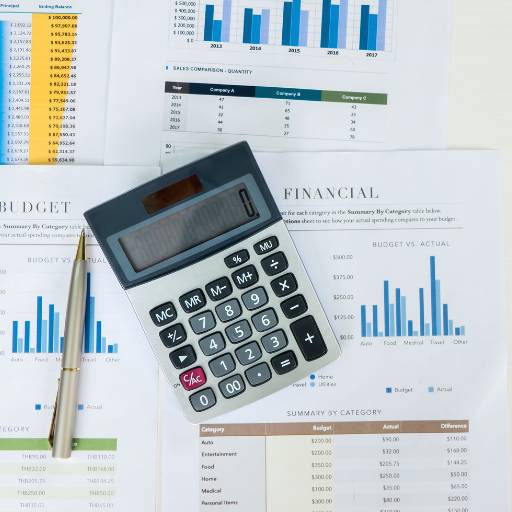  Contabilidade para Restaurantes - Gestão Financeira Eficiente para Experiências Gastronômicas - Três Marias/MG