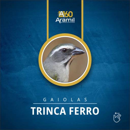 Gaiolas - Trinca Ferro 
