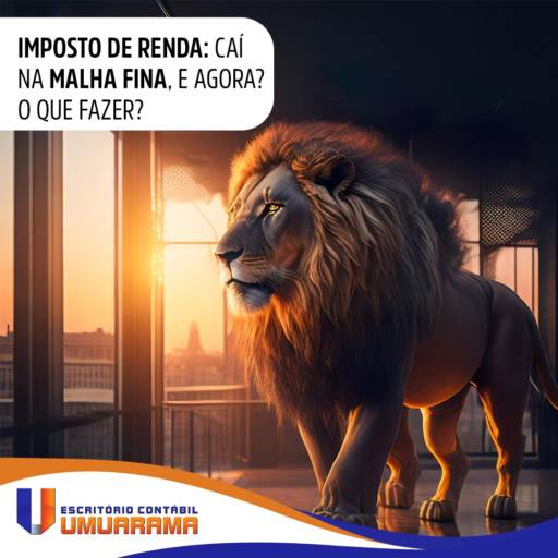 Declaração de Imposto de Renda – IRPF: Mantenha Suas Finanças em Ordem com Nossa Assessoria Especializada em Eldorado/MS