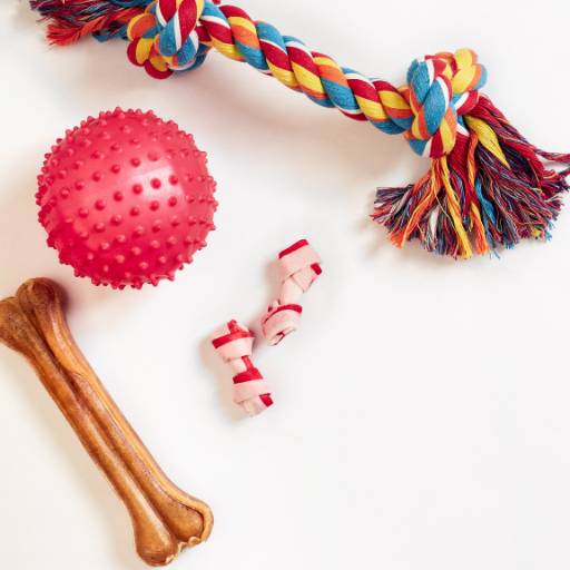 Brinquedos de pet por Trekos e Tarekos 