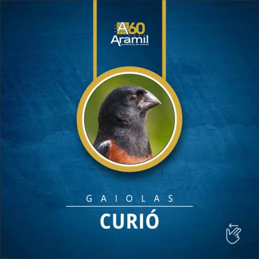 Gaiolas - Curió 