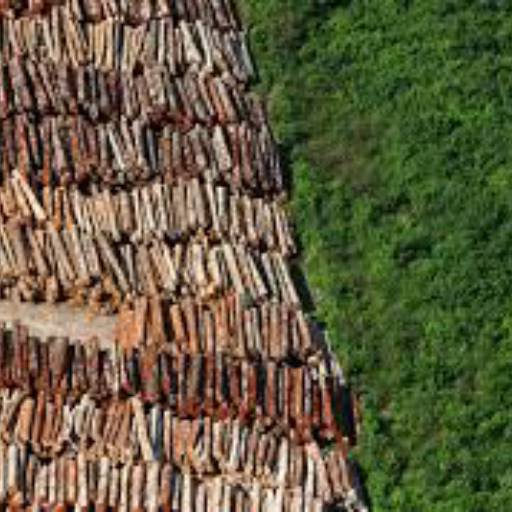 Ação Civil Pública Ambiental