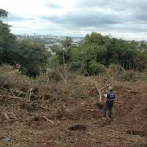 Ação Penal Ambiental por SA Advocacia Ambiental