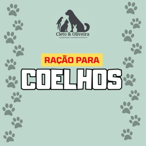 Comprar o produto de Ração Para Coelhos em Coelhos  pela empresa Cleto & Oliveira Agropet em Itapetininga, SP por Solutudo