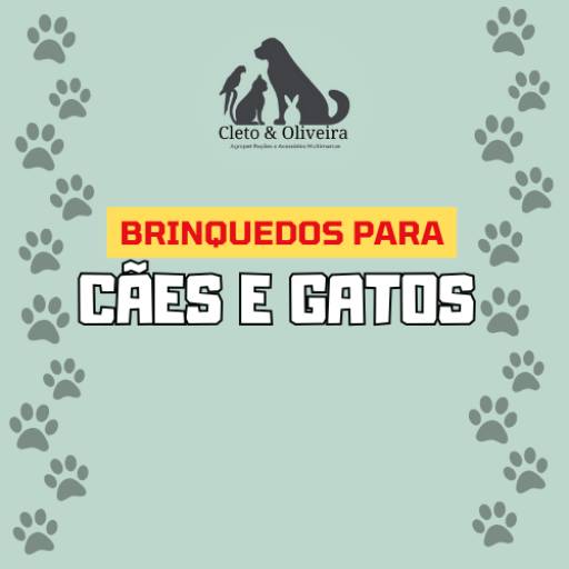 Comprar o produto de Brinquedos Para Cães e Gatos em Brinquedos pela empresa Cleto & Oliveira Agropet em Itapetininga, SP por Solutudo