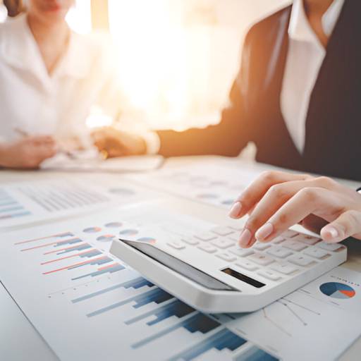 Serviços de Contabilidade para Organizações Sem Fins Lucrativos - Conformidade e Eficiência - Especialização Local por Escritorio Contabil Aguilar Ltda Me