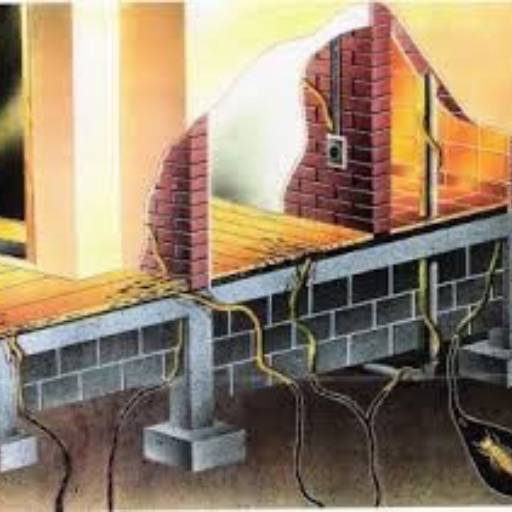 Tratamento Contra Cupim em Cachoeiro de Itapemirim - Proteção Duradoura - Expertise Comprovada por HR Service Auto