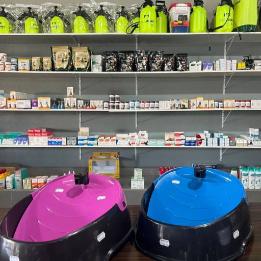 Fonte de água por Animais & Cia