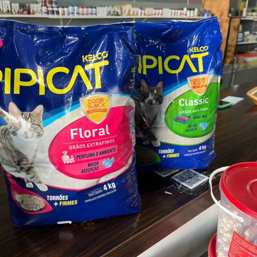 Areia para gatos por Animais & Cia