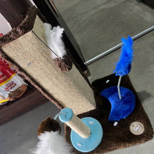 Acessórios para gatos  por Animais & Cia