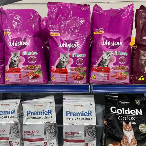 Ração para gatos filhotes por Animais & Cia