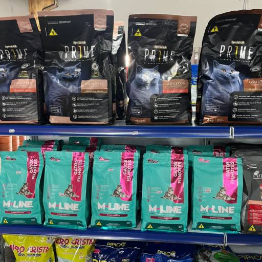 Ração para gatos por Animais & Cia