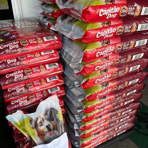 Ração para cães por Animais & Cia